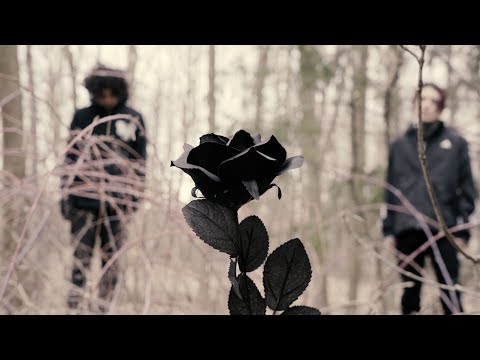 never easy - show me (official video)