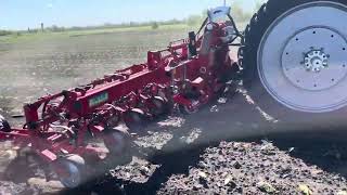 آلة التعشيب والفلاحة Einb&ouml;ck Chopstar 8 | صورة 5 - Agroline