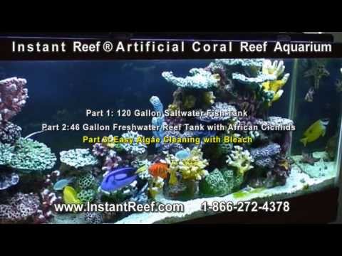 Artificial Coral Reef Aquarium Setup & Maintain, Reef Tank for Saltwater Marine Fish Freshwater Fish