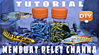 Download lagu TUTORIAL MEMBUAT PELET CHANNA | DIY mp3