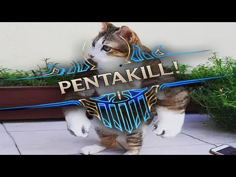 THE SECOND YUUMI PENTAKILL EVER - BEST DAILY LEAGUE RECAP #91