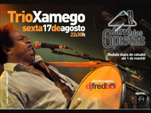Trio Xamego   Forró 6 Pistas 0002