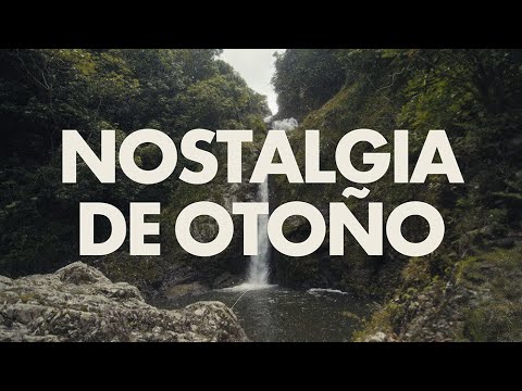 Rauw Alejandro, De La Rose - Nostalgia de Otoño (Official Lyric Video)