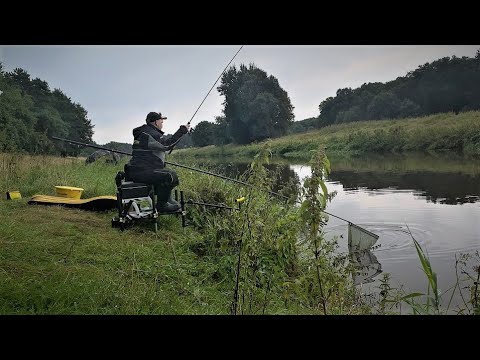 Feedern im kleinen Fluss