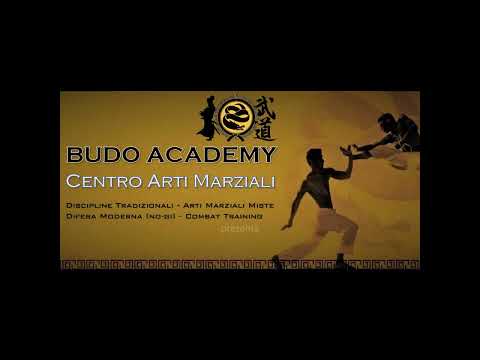 Acrobatic Martial Arts & Stunt Training
