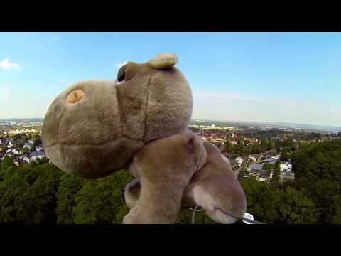 download lagu mp3 mp4 Hippo Dream Meaning, download lagu Hippo Dream Meaning gratis, unduh video klip Hippo Dream Meaning