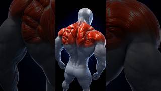 Want a thicker upper back? Train grip, angles, and rear delts the right way.