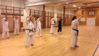 preview picture of video 'Kase Ha Karate Do Akademi Malmö Träning 2'