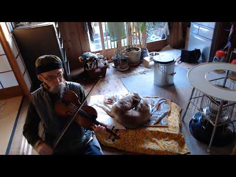 Throw the Old Cow over the Fence