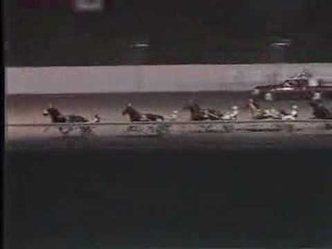 1984 breeders crown