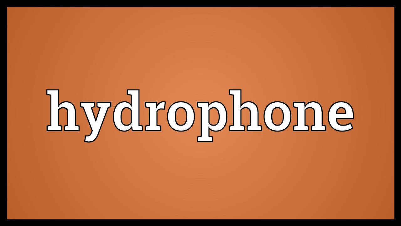 Hydrophone Meaning
