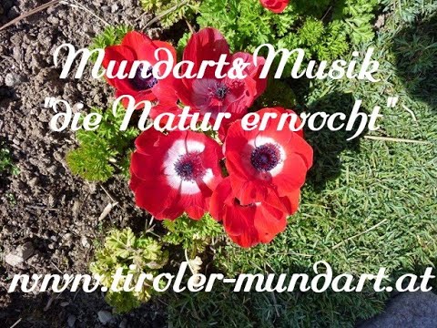 Mundart&Musik - "die Natur erwocht" 35 Minuten Tiroler Mundart und Volksmusik