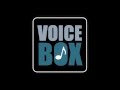 voice box - daydream