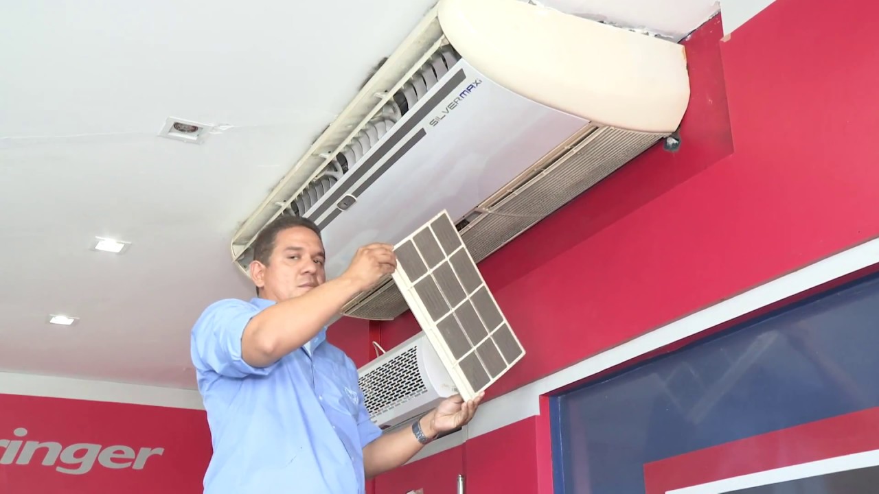 Braulio Dyego Martins Vieira-6