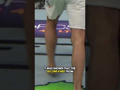 Chris Weidman was mad with how this fight ended