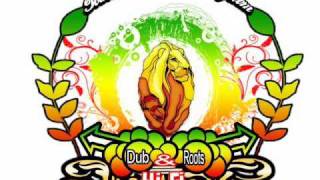 Mungo's Hi-Fi -  The Truth Dub