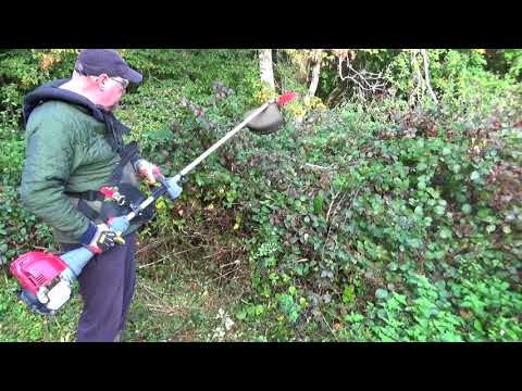 Review - Oregon Universal Mulching Brushcutter Blade - Absolutely Brilliant!