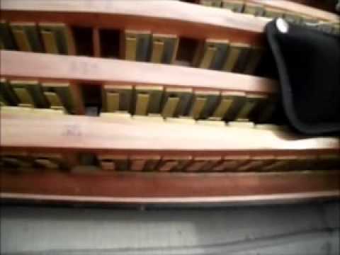 accordioncafe  MICROPHONE FIT Fastrack extras