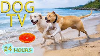 DOG TV 24/7: Best Videos Entertain for Dogs Help Anti-Anxiety at Home Alone - All Day Music for Dogs 