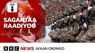 Download lagu Murteen Mana Maree Federeeshinii Itoophiyaa bulchiinsa naannoo Tigraay dheekkamsiise mp3