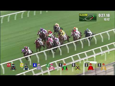 3/2/2022 (387) Cordyceps Six - B Shinn