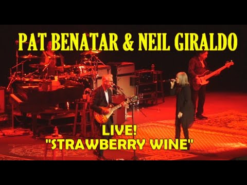 Strawberry Wine (life Is Sweet) cover