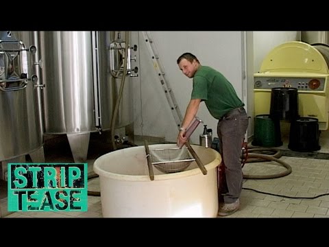 STRIP TEASE - Vignes du Seigneur