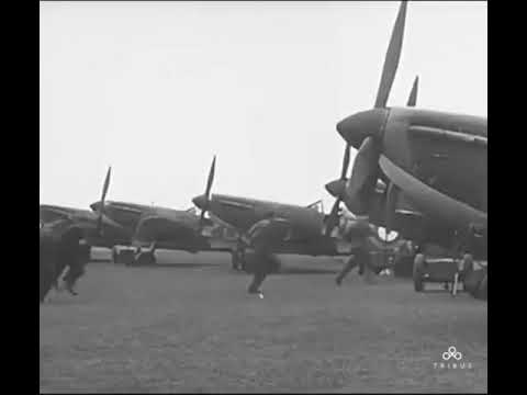 TRIBUS 303 Squadron Watch Launch