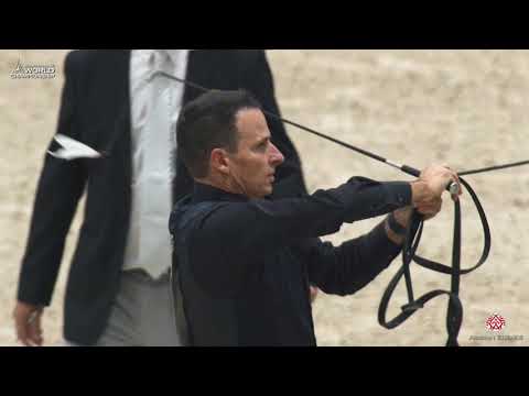 N 98 HERACLES DOMITIA   Paris 2019   Yearling Colts Class 4A