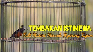 Download lagu PANCINGAN KOLIBRI NINJA ISIAN MEWAH | KONIN GACOR FULL TEMBAKAN NYARING JERNIH TAJAM mp3