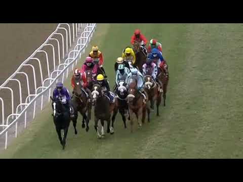 ANYTHING GOES - THEKWINI STAKES (Grade 1)