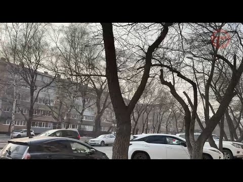 ☀️ Первые выходные зимы в Приморье будут тёплыми и довольно спокойными