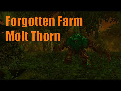 Make 304k Gold Farming Rarespawn Molt Thorn - Forgotten Farm Friday