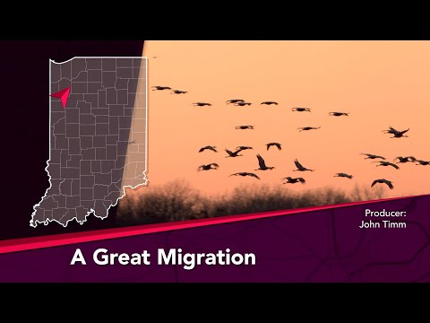 Journey Indiana - A Great Migration