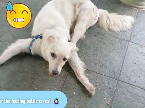 My Morning Routine...😍❤