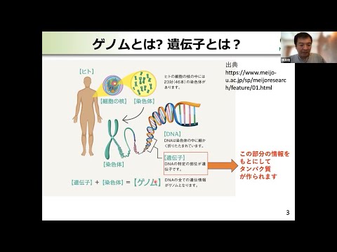 商学科 ゲノム情報でミツバチの問題を解決する！