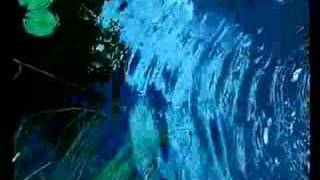 Holger Czukay - Cool in the pool