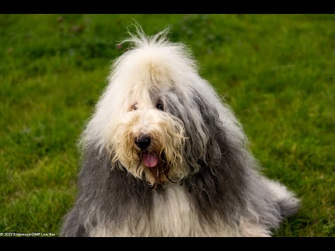 14102022   Autumn Walk