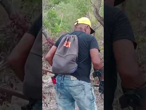 DETECTORISMO NO CANTO DOS CUPINS MONSENHOR GIL PIAUI