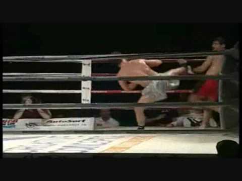 Najmeddin Scorpion's sting