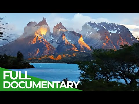 Wild Faces of the Andes - A Unique Nature Paradise