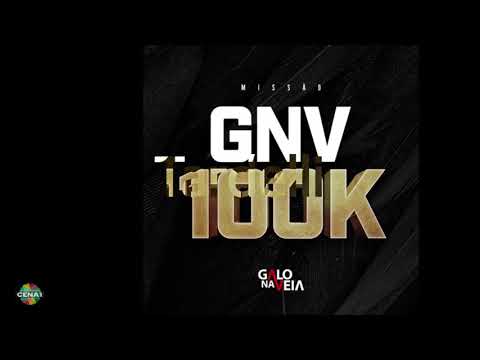 2010 Ipatinga 2x3 GALO