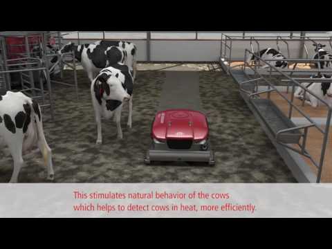 Lely Discovery 120 Collector - animation - EN