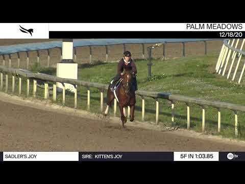 Sadler's Joy worked 5 Furlongs in 1:03.85 at Palm Meadows on December 18th, 2020.