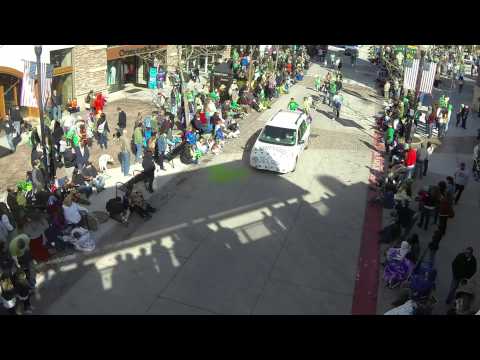 The St. Patrick's Day Parade, Saturday, March 15, 2014