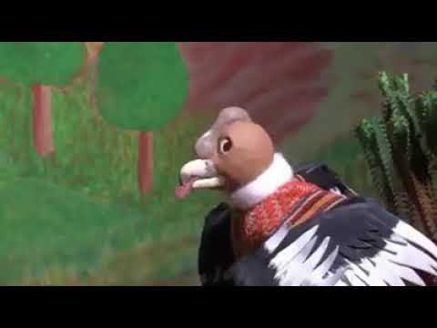 El Zorro y el condor