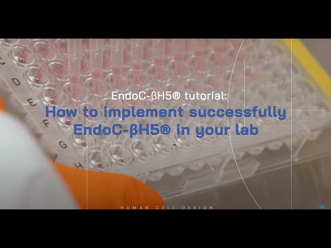 EndoC-βH5® Cell Culture Tutorial - Human Cell Design