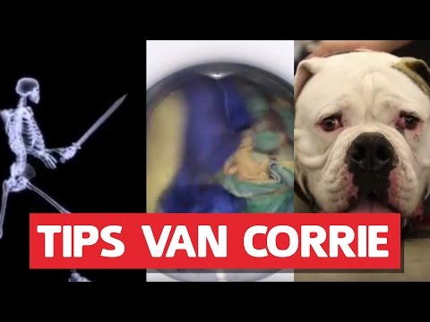 Hoe moet je tongzoenen? | De Dokter Corrie Show