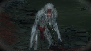 [心得] 隻狼 雙刀白猿 對刀及招式心得