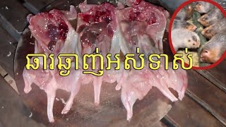 កណ្ដុរស្រែឆាជាមួយនឹងគល់ស្លឹកគ្រៃ